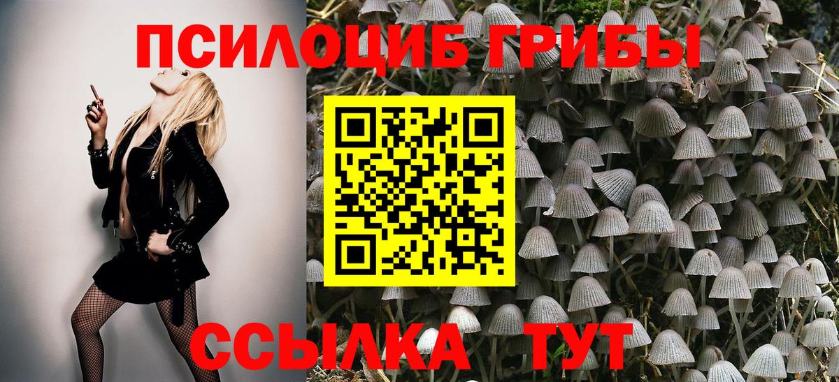 Галлюциногенные грибы Cubensis  Галлюциногенные грибы Psilocybine cubensis  Рязань  где купить наркоту  Вход с VPN 